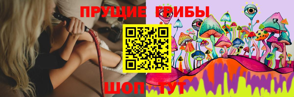 Псилоцибиновые грибы MAGIC MUSHROOMS  Вход с VPN  Усолье-Сибирское  Псилоцибиновые грибы прущие грибы 