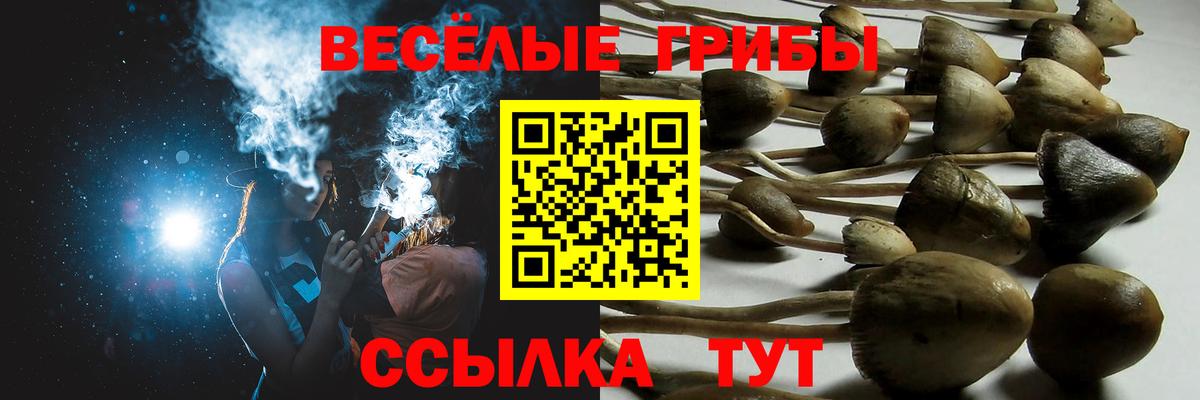 Псилоцибиновые грибы прущие грибы Усолье-Сибирское
